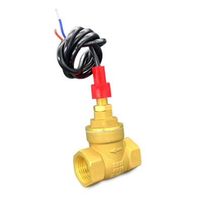 China Wholesale Best Price Dn15 Hardware G1/2 70W Air Control Flow Sensor One Way Brass Switch And Coupling For Sale SK-DN15-DB for sale