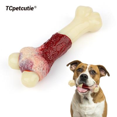 China New Viable Bone Shaped Teeth Dog Toy Pet Nylon Toothbrush Chew Cleaning Toys for sale