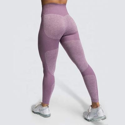 China Breathable Wholesale Women Soft High Waist Tummy Control Sports Seamless Knitted Sporty Tights Running Yoga Pants Gym Gaiters for sale