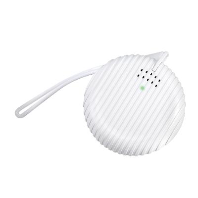 China Humidify Portable Ozone Machine Air Purifier Deodorization Sterilizer 2021 For Disposal Car Bedroom for sale