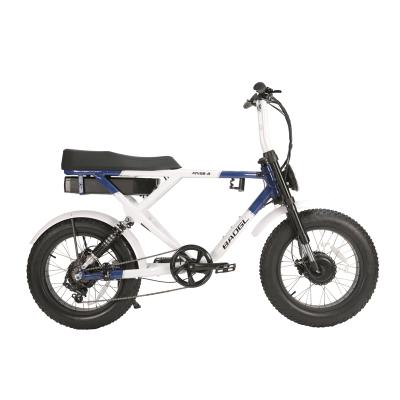 China Aluminum Alloy Factory Wholesale Cheap Price 48V 750W Ebike Snow Tire MTB / Electric Dirt Bike For Sale for sale