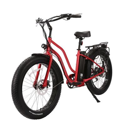 China Aluminum alloy 750W 1000W motor E-bike fat tire electric bicycle mountain bike fat bike for sale for sale