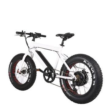 China Bafang 36V 250W Electric Bike of Common Type Fat Tire for sale