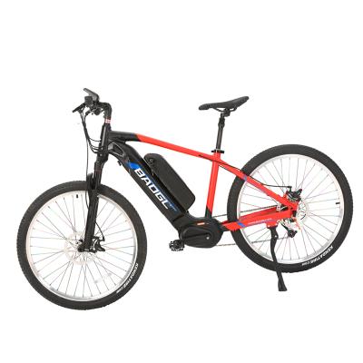 China Bafang Supplier BAOGL/2020 Mid Drive Motor Luxury Chinese Mountain Ebike Electric Bike 48v 1000w for sale