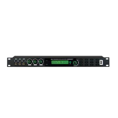 China Strong New Design KX-600 Professional Audio Digital Processor With Optical Fiber for sale