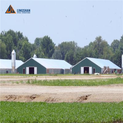 China Prefab Warehouse Steel Frame Chicken Shed Outdoor Poultry Farm Steel Structure For Big Chicken House for sale