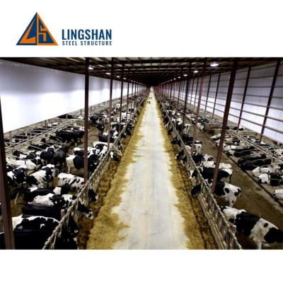 China Office cheap prefab prefab light steel cattle shed farm modern cow shed structures barns building construction cost prices for sale