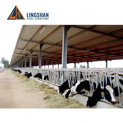 China Anti-Seismic Farm Design Cow Barn Cattle Shed Metal Frame Farm House Prefab Steel Structure Shed For Dairy Cow Stall for sale