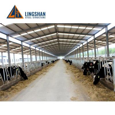 China Desktop design high quality light steel structural dairy farm shed cattle house barn buildign low cost prices for sale