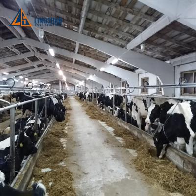 China Prefab Farm Low Cost Livestock Cattle Shed Dairy Farm Structures Barn Housing Buildings for sale