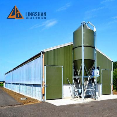 China Store Chicken Poultry Farm Design Steel Building for sale