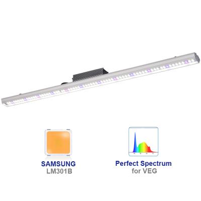 China Factory led grow best 80w 100w 120w 150w veg spectrum plant lamp bar light cheap red blue strips line led grow light for sale