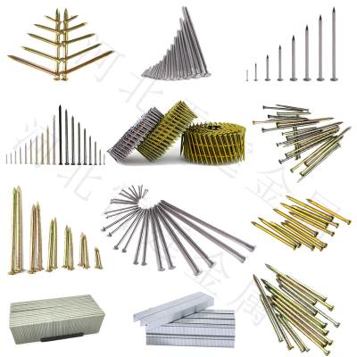 China Cap Factory Direct Concrete Three Inch Nails Porcelain Construction Nails Building Nails for sale