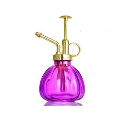 China Small Mr. Spray Bottle Vintage Plant Watering Spritzer Luxury Glass Succulent Top Pump Bottle Plant Watering Box for sale