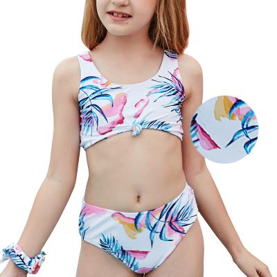 China Antibacterial Two-Piece Bikini Crop Top Floral Print Baby Swimwear Kids Bikini Beach Girls Swimsuit for sale