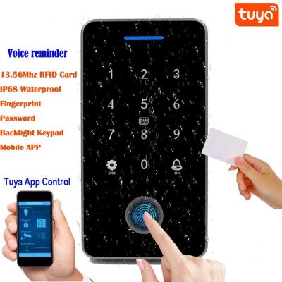 China Waterproof / Tuya APP Backlight Touch RFID Card Access Control Keypad Door Lock Opener Waterproof GT Output Waterproof IP67 for sale