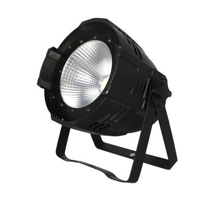 China Mini COB Stage Equipment Outdoor COB LED Par Profile Light Spot Light Ellipsoid 60-80W Warm Whte/2in1 White Light for sale