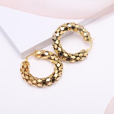 China Titanium Steel Mesh Snakeskin Hoop Earrings New High Quality Women Stainless Steel Round Hoop Earrings for sale