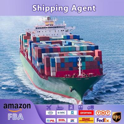 China Hong Kong Shipping Forwarder Sea Freight To Pakistan Ddp Commodity Logistics Agent In China Sea Freight for sale