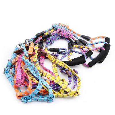 China Personalized High Quality Round Rope Dual Color Trunk Double Color Pet Handle Cotton Foam Traction Rope Dog Harness Dog Harness Leashes for sale