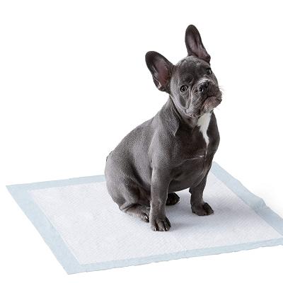 China 6 Layers Dog Pet Puppy Training Pee Viable Waterproof Super Absorbent Pads for sale