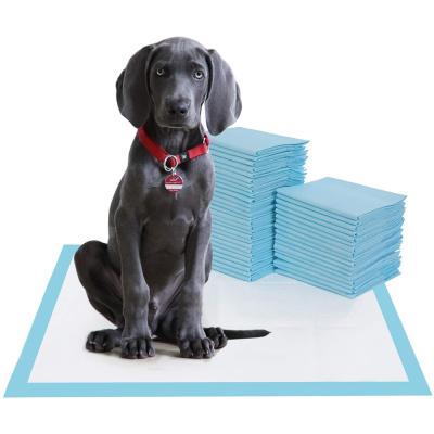 China 6 Layer Dog Pet Puppy Training Leak Proof Super Absorbent Pad for sale