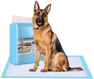 China 6 Layer Dog Pet Puppy Training Leak Proof Super Absorbent Pad for sale