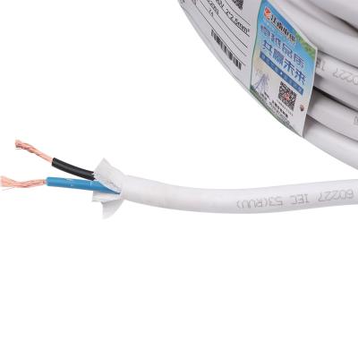 China System Controls RVV Instrumentation Cable 100m 2x2.5mm PVC Flexible Wire And Cable PVC Insulated Flexible Electrical Wires for sale