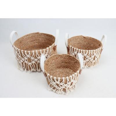 China Viable Promotional Living Room Straw Storage Basket With Handle for sale