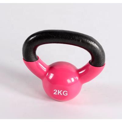 China China Wholesale Home Gym Fitness PHYSICAL FITNESS PARAGON Colored Vinyl Kettlebell for sale