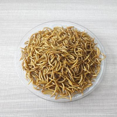 China Cattle Dried Mealworms For Birds Snakes Lizards Pet Food for sale