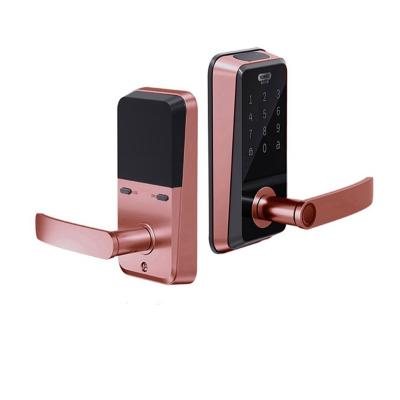 China Zinc alloy security 304 stainless steel fingerprint card APP digital entry/pinAPP NFC hole touch screen door lock quickly open residential smart locks for sale