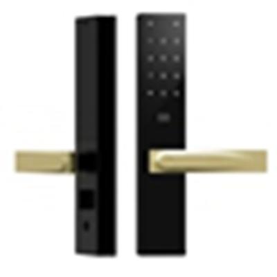 China Zinc Alloy/304 Stainless Steel Fingerprint Handle Lock TTLOCK Smart Home Door Lock Biometric Electric Fingerprint Lock For Wooden Door for sale