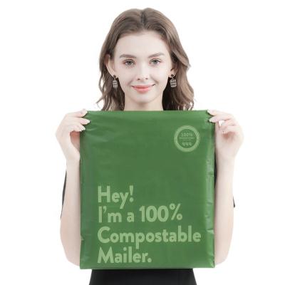 China BIODEGRADABLE Custom Biodegradable High Quality Shipping Eco-Friendly Postage Bag Bolsa De Correo Print Poly Mailers Personalized Logo for sale