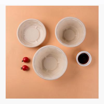 China Disposable 300ml-2500ml Disposable Takeout Soup Noodles Roll With Lid for sale