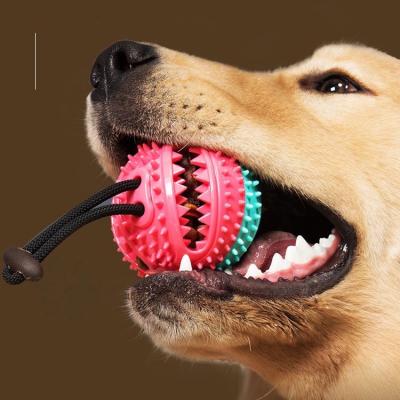 China Viable Interactive Dog Food Toothbrush Bite Chew Ball Leaking Rope Toy for sale