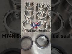 Multi Spring Centrifugal Medium Mechanical Seal Industrial Water Pump M74N