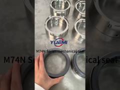 multi spring centrifugal medium mechanical seal industrial water pump m74n