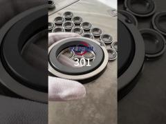 301 Single-Spring Mechanical Seal( Replace Aesseal B01, Bt-Ar,  Flowserve 118, Mut Fa for Cyclan B01