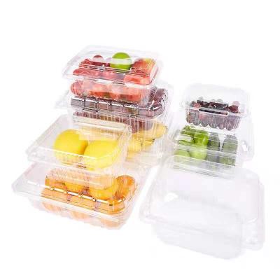 China Recyclable Custom Embossing Fruit Meal Lunch PET Shape Plastic Disposable Fruit Box for sale