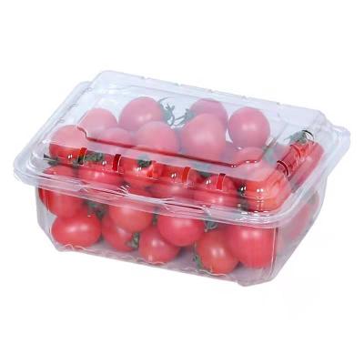 China Hot Sale Recyclable Environmental Recyclable Styrofoam Transparent Disposable Fruit Box for sale