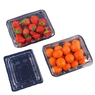 China Recyclable Glossy Lamination Bagasse Sugar Cane Clamshell Transparent Disposable Box for sale