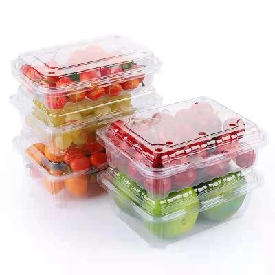 China Recyclable Disposable Food Packaging Box Transparent Disposable Food Packet Plastic Box for sale