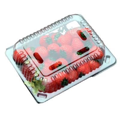 China Disposable Clamshell Clear Rectangle Transparent Vegetable Tray Plastic For Fruit Boxes For for sale