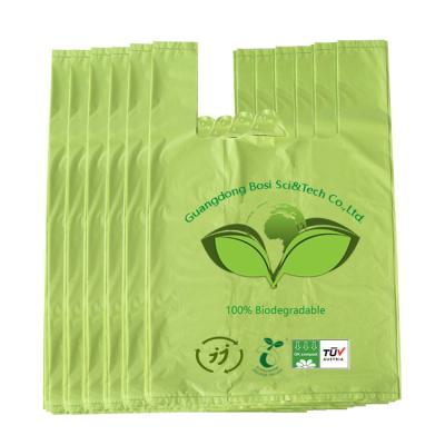 China Business& Buying Custom Deisgn Printing Biodegradable Custom Logo Handbag Return Shopping Bags for sale