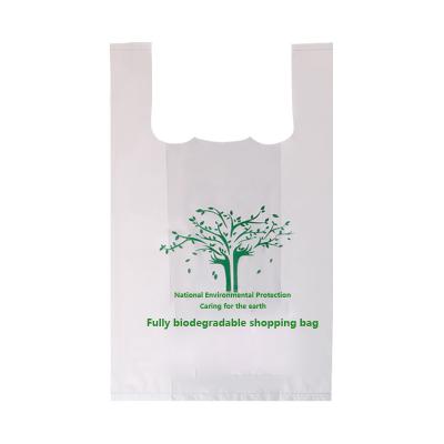 China Customized 100% biodegradable logo color transparent custom reusable shopping bags for sale