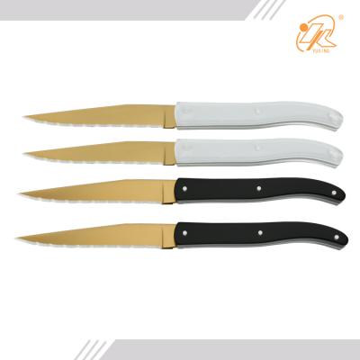 China Viable China Professinal Manufacturer in Steak Knife Meat Cutter Knife Handle Acrylic Steak Knife for sale