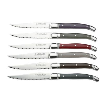 China Sustainable set of 6 Laguiole steak knives ABS in assorted colors handles laguiole cutlery set for sale