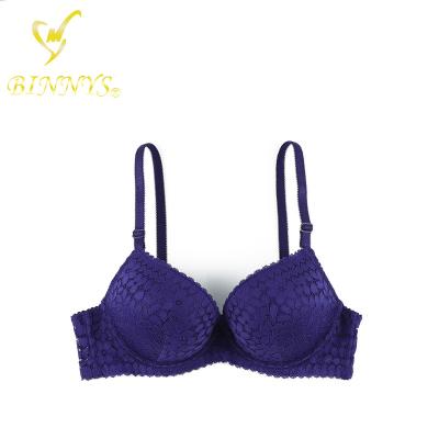 China BINNYS Guangzhou Best Size Padded Bra 36c Breathable High Quality Nylon Sexy Bra Size for sale