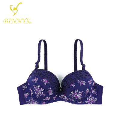 China BINNYS Canton's Best Breathable Bra Unites Thin Print With Lace Ladies Bra for sale